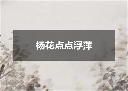杨花点点浮萍