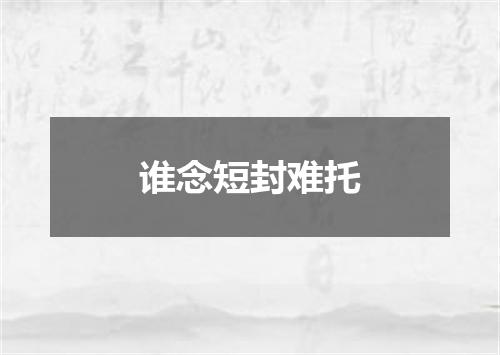 谁念短封难托