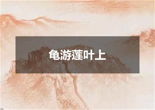 龟游莲叶上
