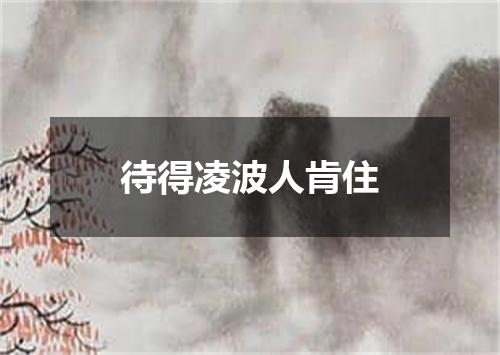 待得凌波人肯住