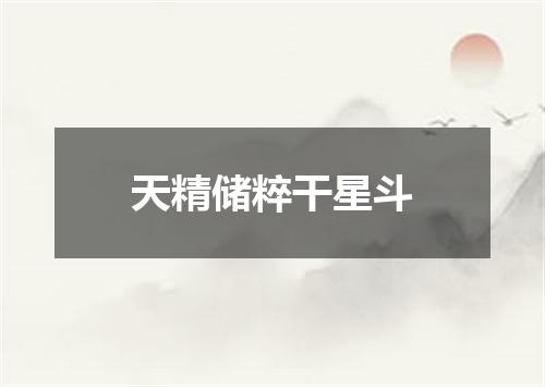 天精储粹干星斗