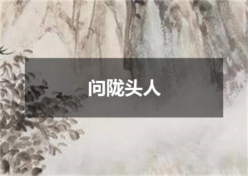 问陇头人