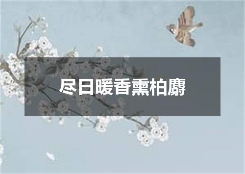 尽日暖香熏柏麝