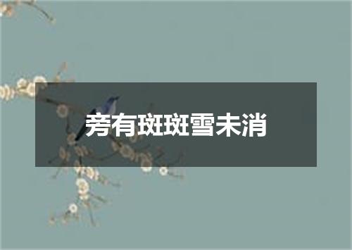 旁有斑斑雪未消