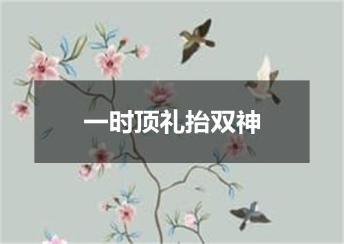 一时顶礼抬双神