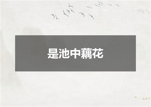 是池中藕花