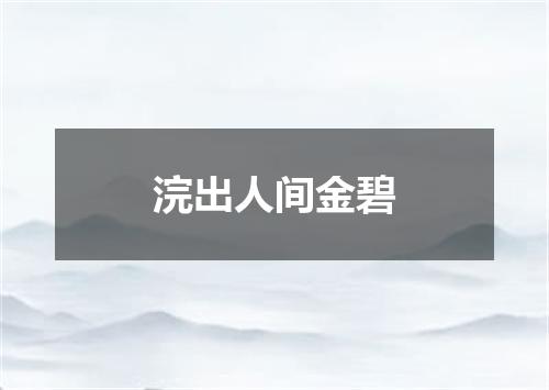 浣出人间金碧