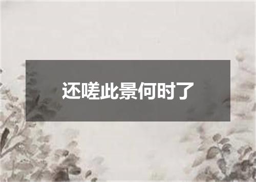 还嗟此景何时了