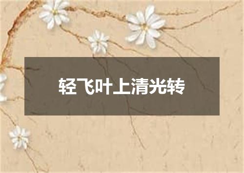 轻飞叶上清光转