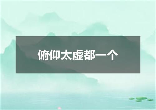 俯仰太虚都一个