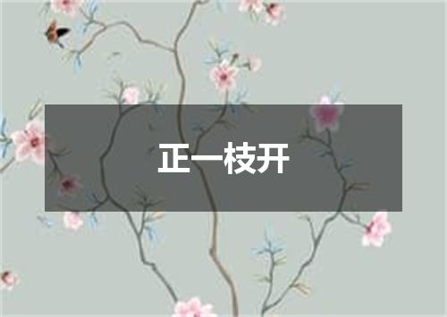 正一枝开