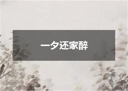 一夕还家醉