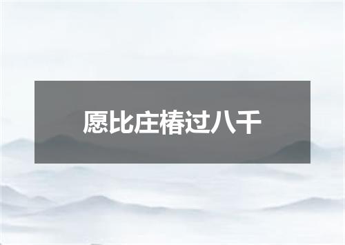 愿比庄椿过八千