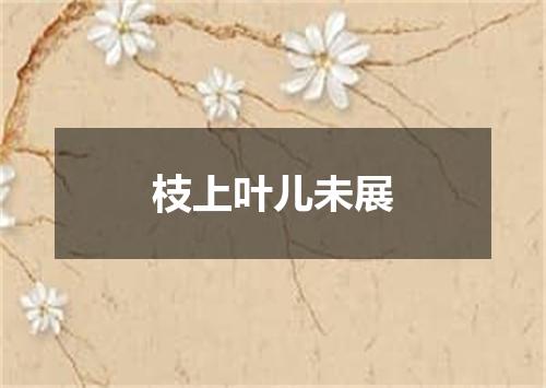 枝上叶儿未展
