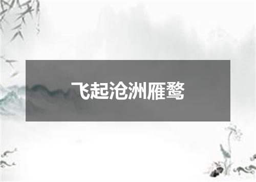 飞起沧洲雁鹜