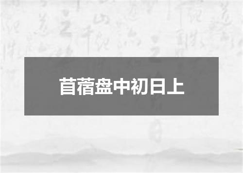 苜蓿盘中初日上