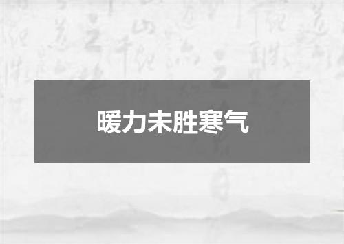 暖力未胜寒气