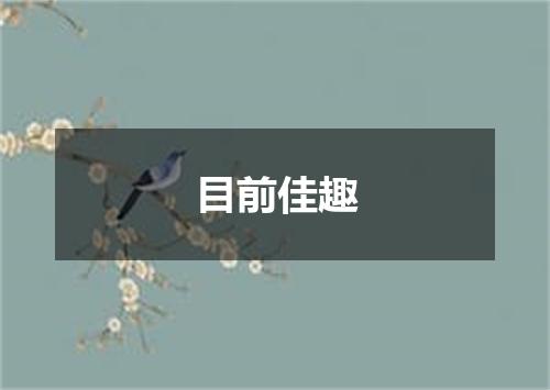 目前佳趣
