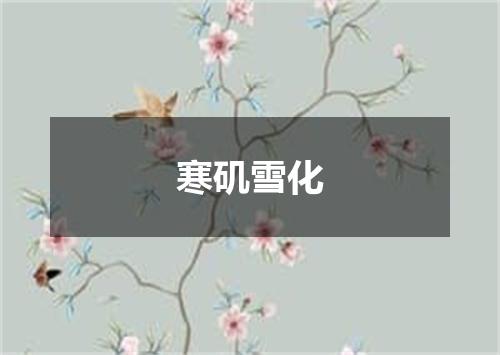 寒矶雪化