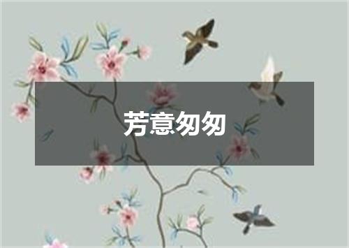 芳意匆匆