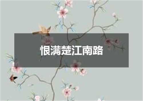 恨满楚江南路