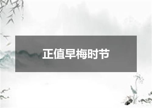 正值早梅时节