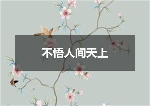不悟人间天上