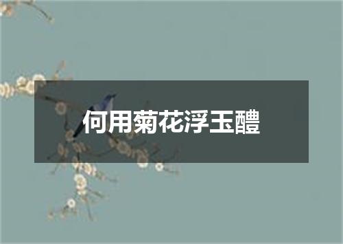 何用菊花浮玉醴