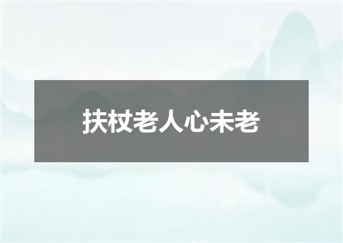 扶杖老人心未老
