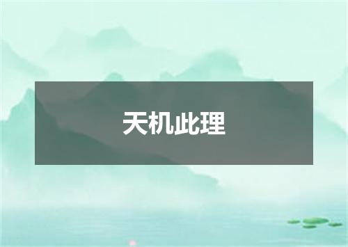 天机此理