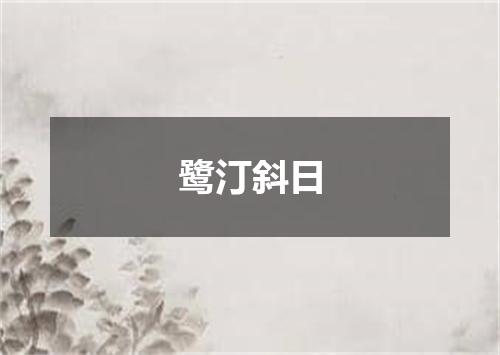 鹭汀斜日