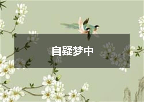 自疑梦中