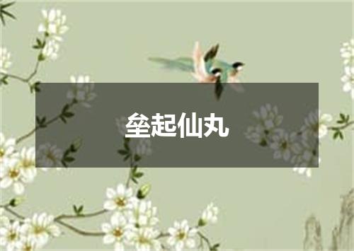 垒起仙丸
