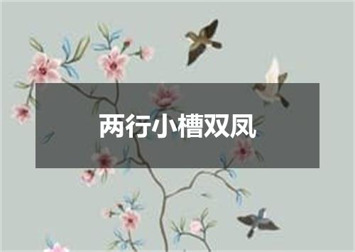 两行小槽双凤