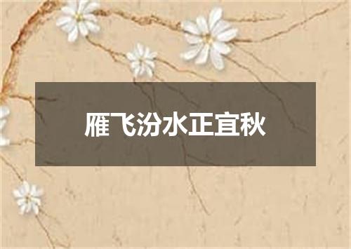雁飞汾水正宜秋