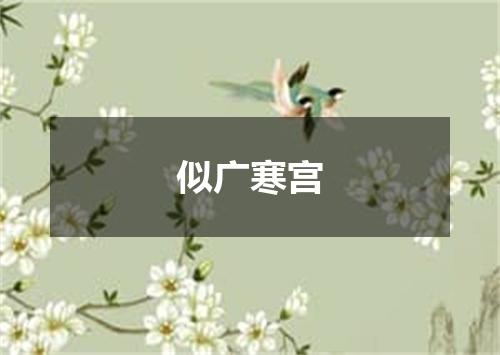 似广寒宫