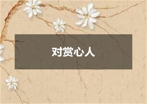 对赏心人