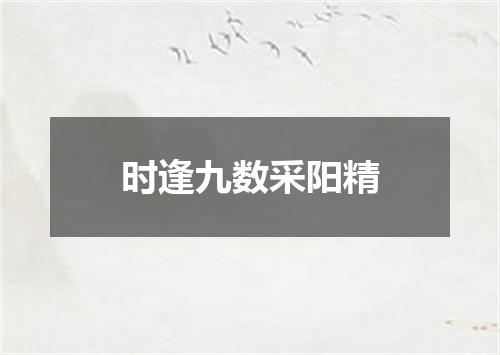 时逢九数采阳精
