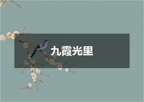 九霞光里