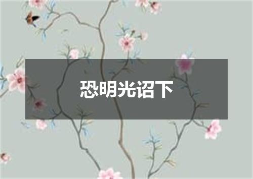 恐明光诏下