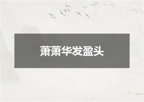 萧萧华发盈头