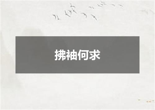 拂袖何求