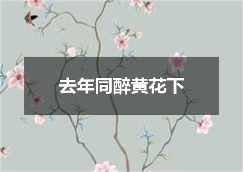 去年同醉黄花下