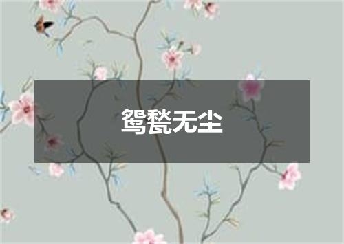 鸳甃无尘