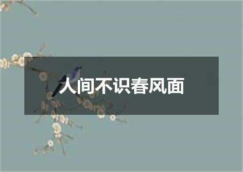 人间不识春风面