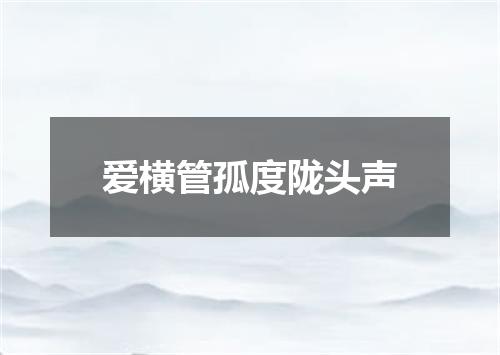 爱横管孤度陇头声