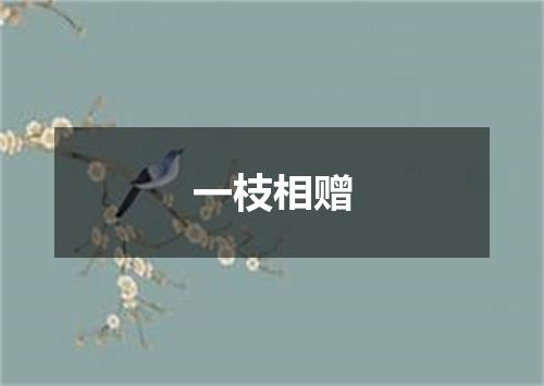 一枝相赠