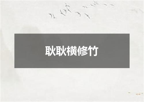 耿耿横修竹