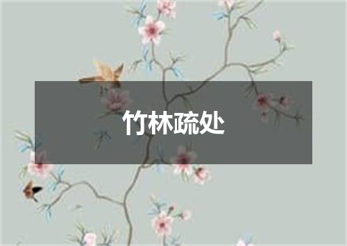 竹林疏处