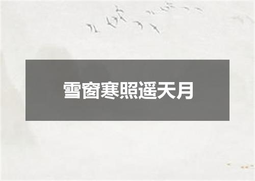 雪窗寒照遥天月